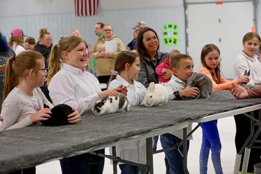 The 14th annual 4-H rabbit fun show and workshop judging Saturday, April 30, 2022, at the Crow Wing County Fairgrounds.