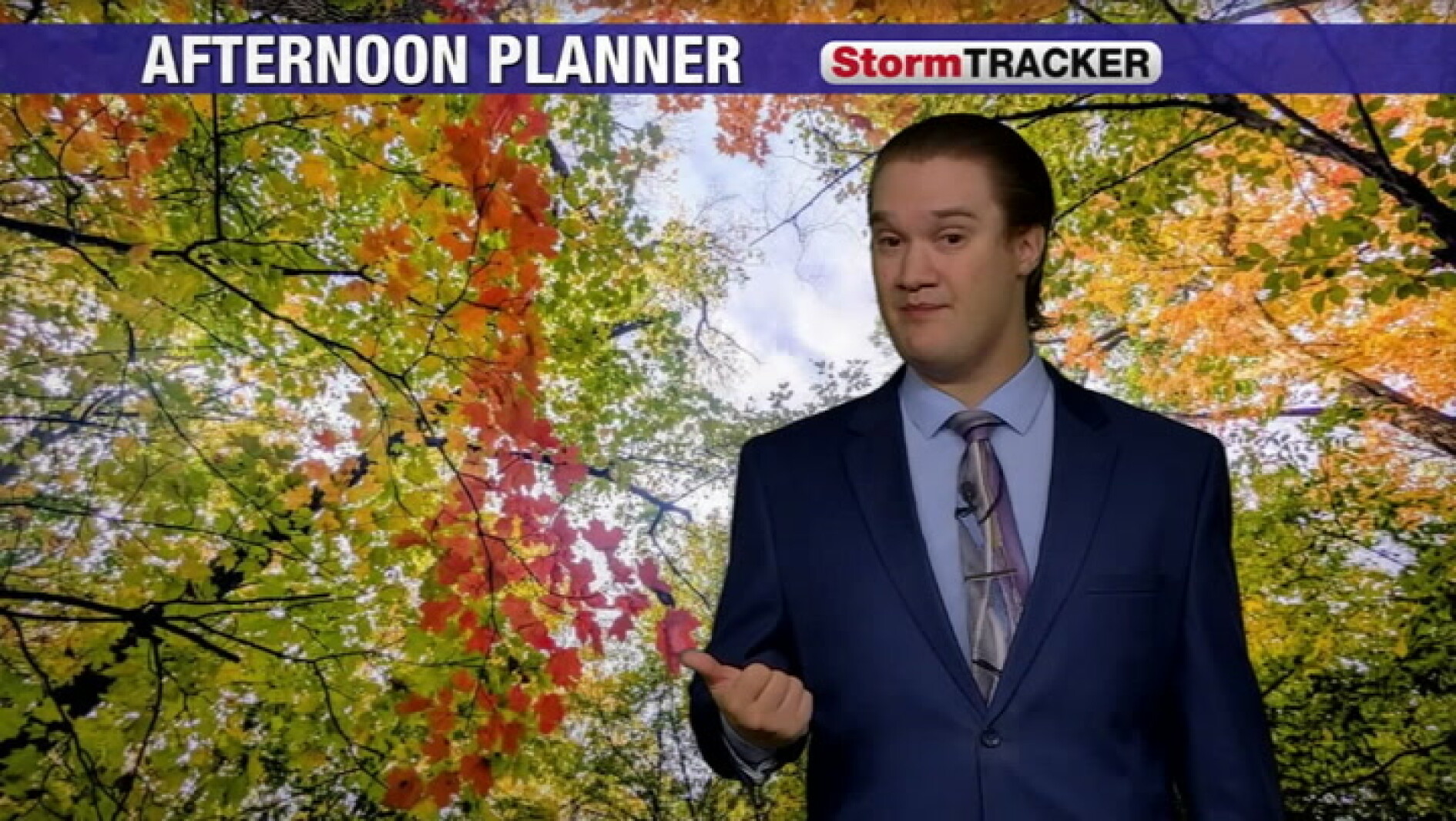 Leaves rustle in the north wind this afternoon, with steadier showers ...