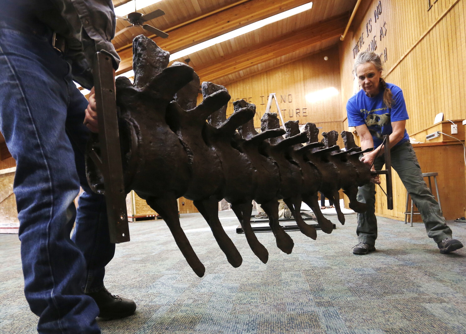 T Rex Building Post Photos: T. rex build at Quarry Hill Nature Center - Post Bulletin ...