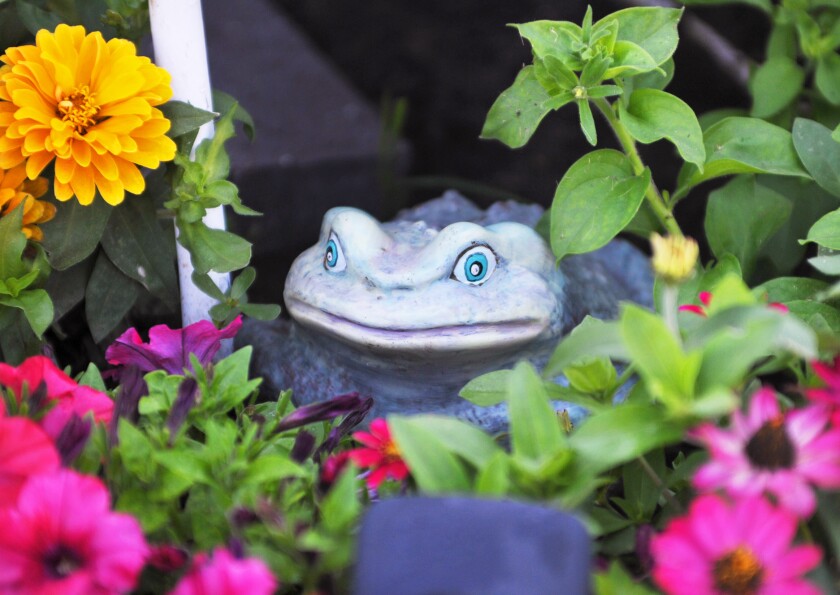 Garden tour