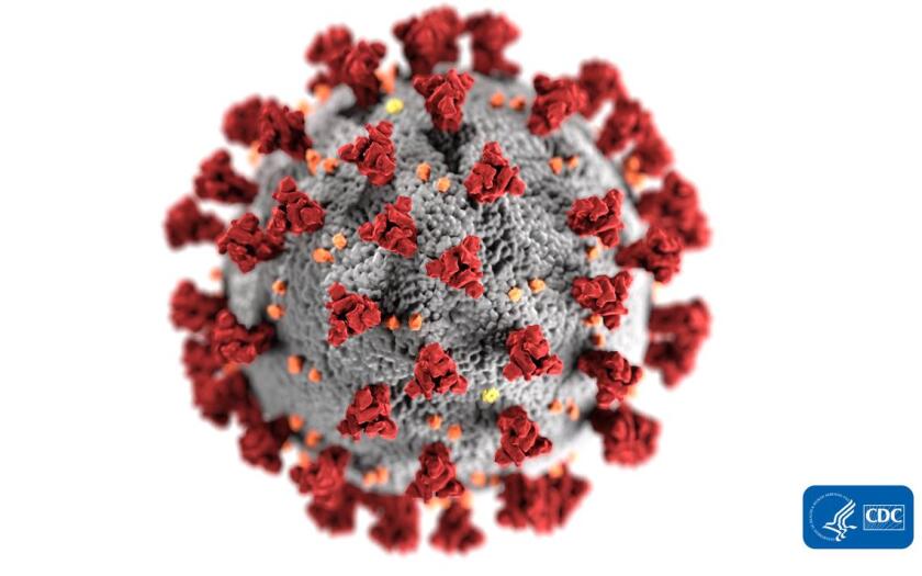coronavirus.jpg