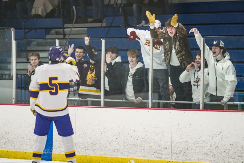 Lourdes, Winona Section 1A quarterfinal boys hockey