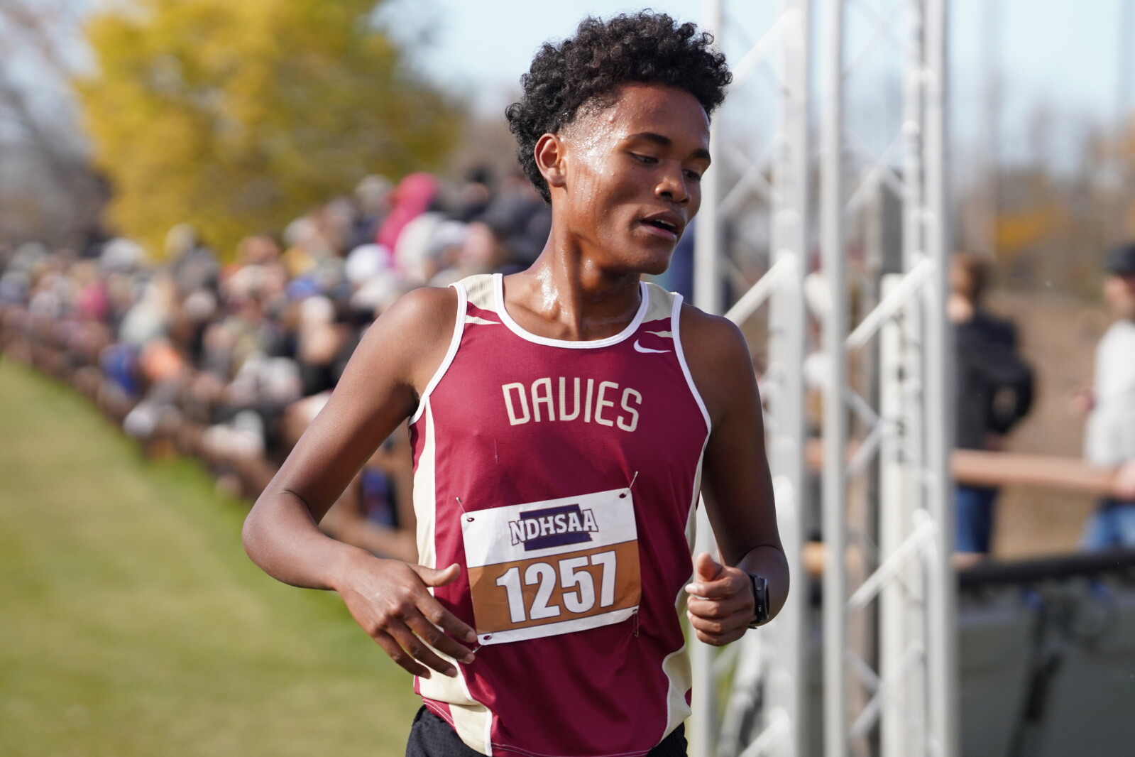 Fargo Davies' Luka Rout sets state meet record with win at Class A boys cross country championship
