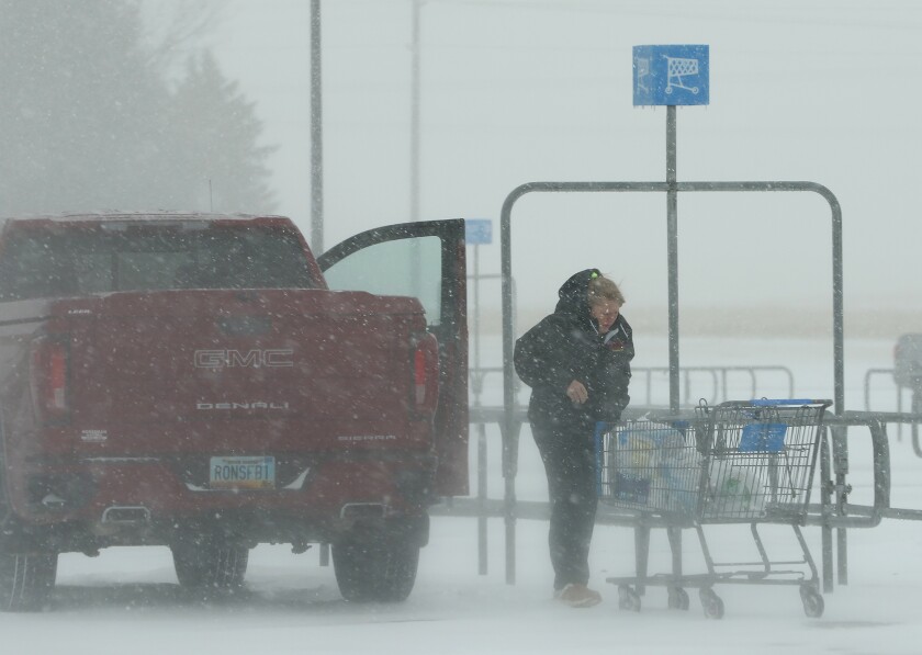 snow storm lady shopper 111022.jpg