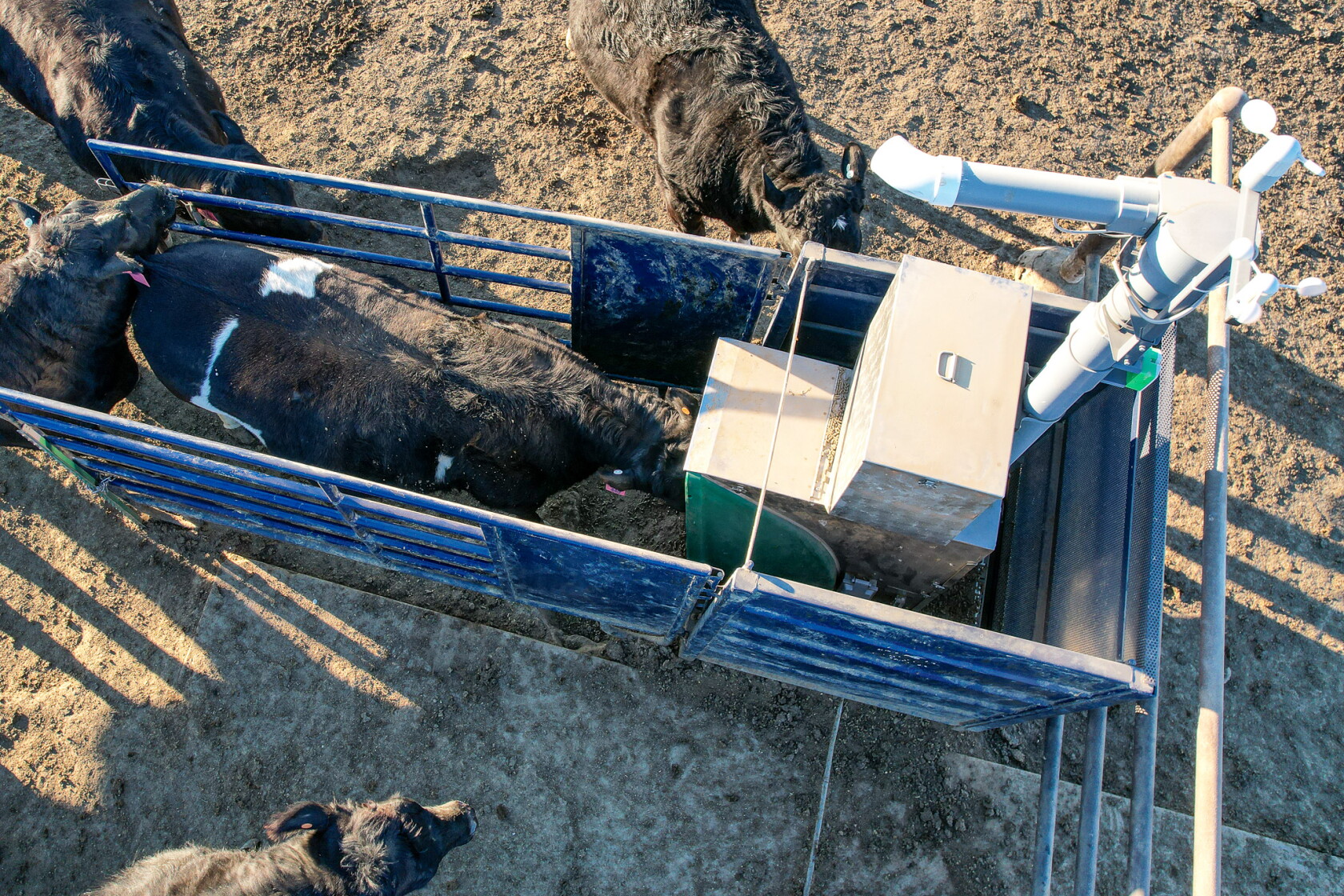 Greenfeed System Methane measuring a first step in managing greenhouse gas emissions ...