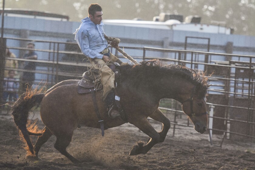 Photos: Fans, riders brave slight rain during Wojo's Rodeo at Beltrami ...
