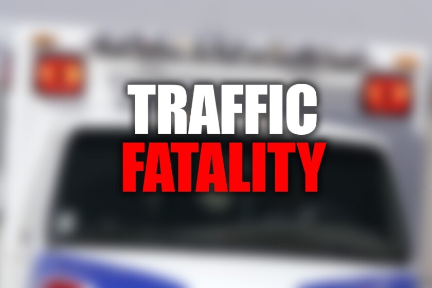 3467861+traffic-fatalityn.jpg