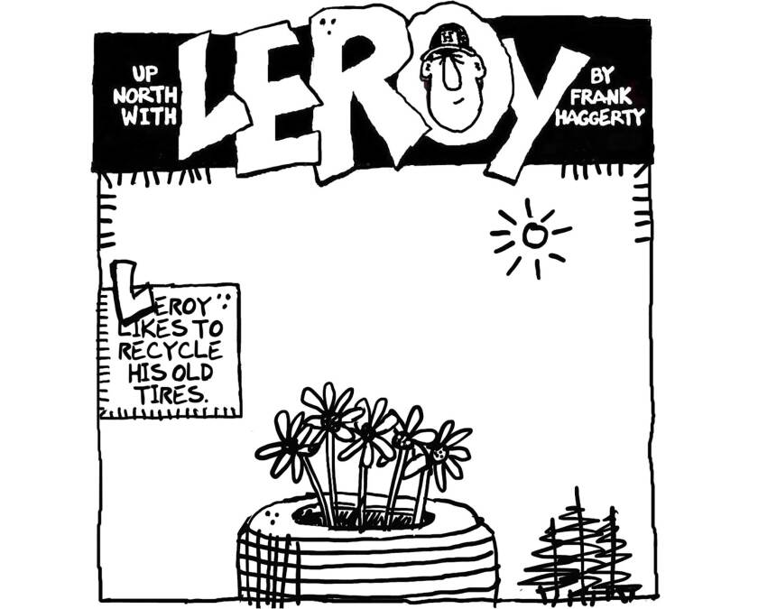 080122-Leroy-Cartoon.jpg