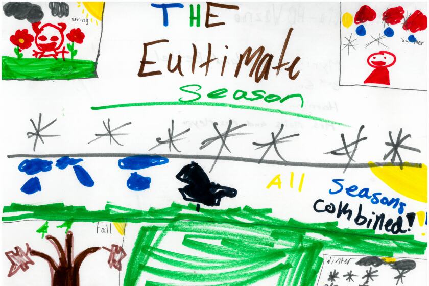 Drawing of four seasons of weather.