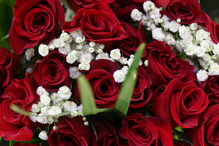 PHOTOS: Roses await loved ones as Valentine's Day draws near in ...