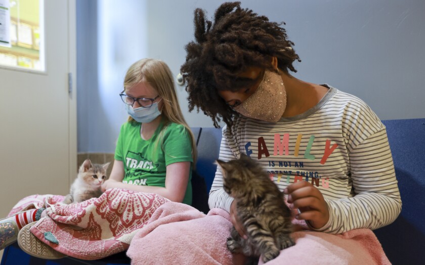 061521.F.DNT.ANIMALCAMP.C03.jpg