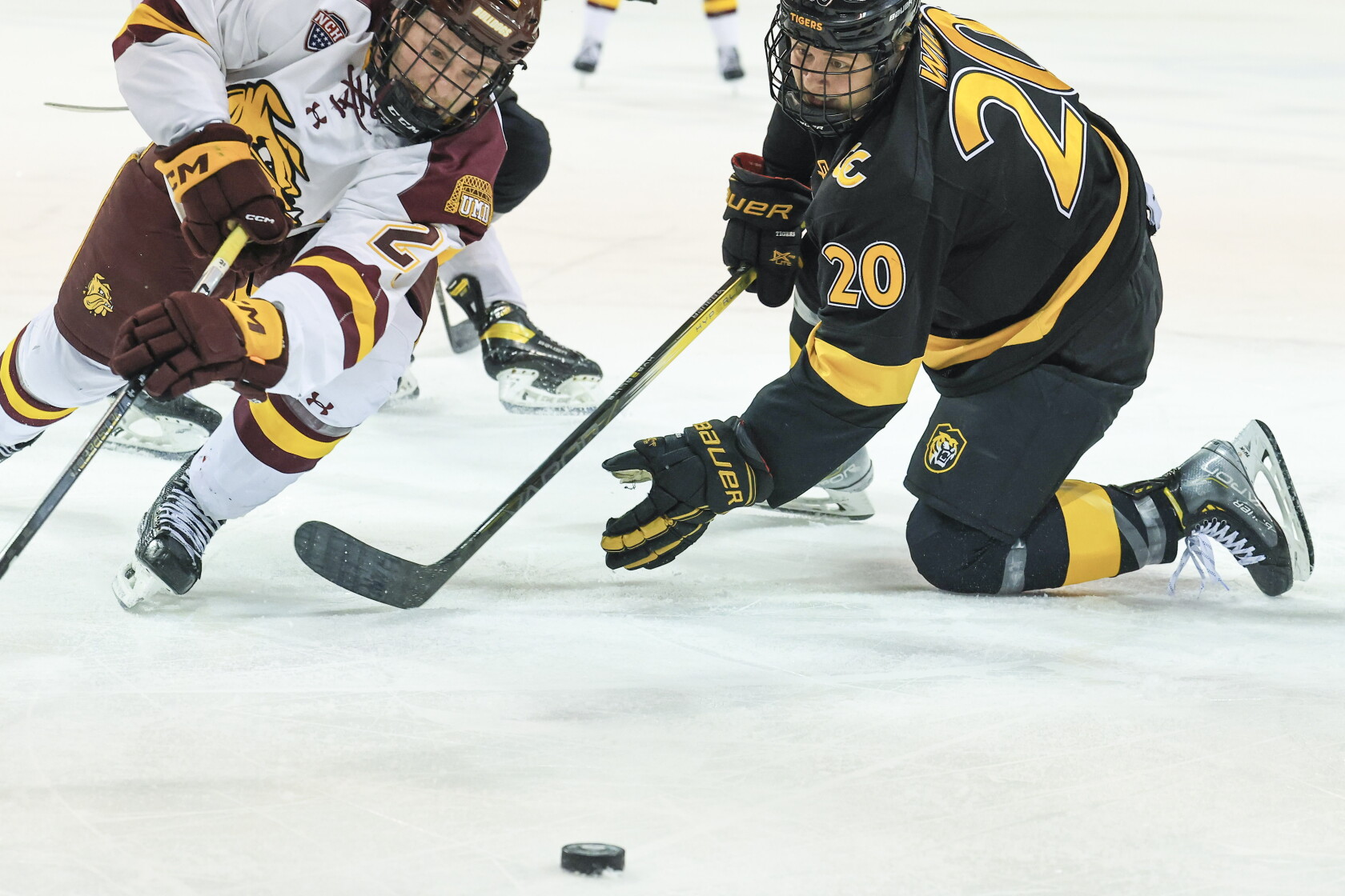 The Intersection of Sports Integrity and Global Regulation