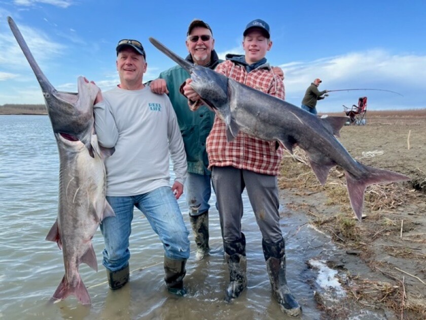 Kevin Kouba paddlefish.jpg