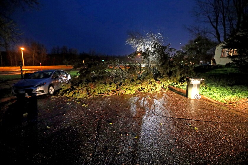 A tree blocks the road in northeast Brainerd.