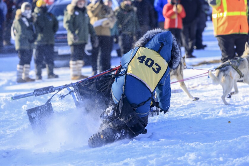 Sled dog teams compete in long-distance race
