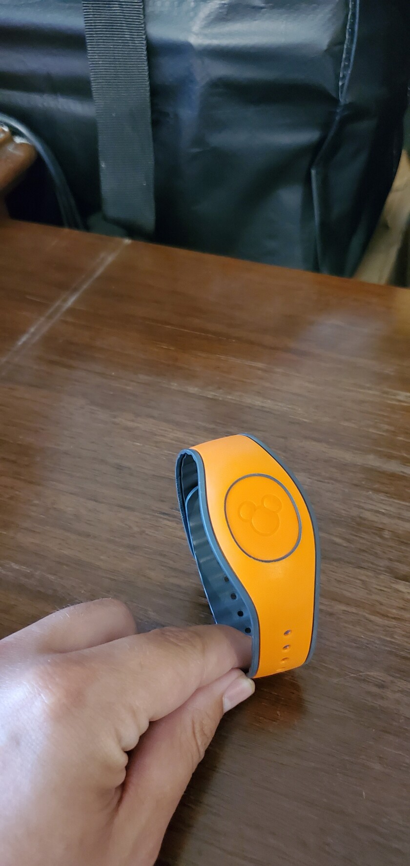 071920.N.BD.TechSavvyMagicBands2.jpg