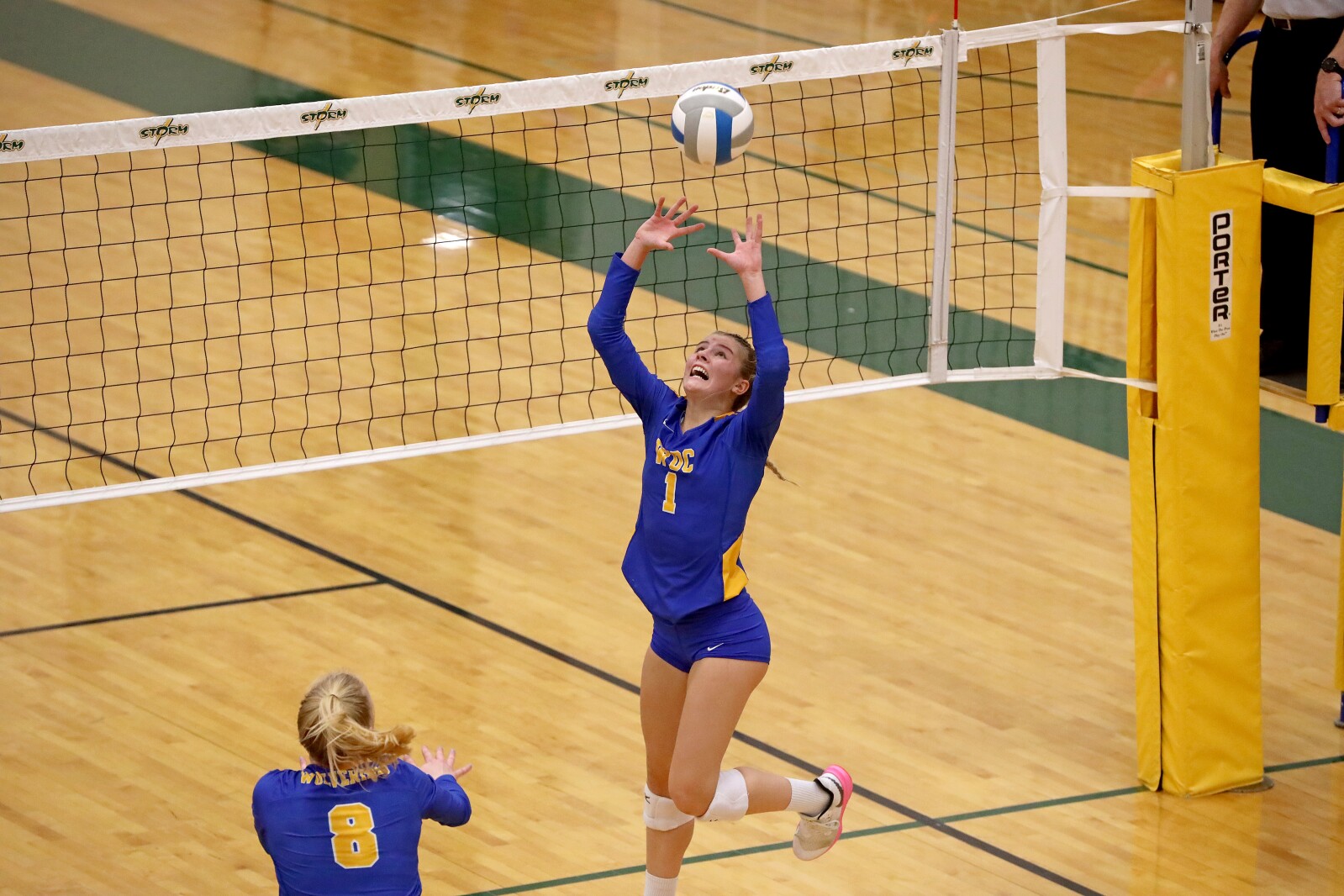 Pequot Lakes vs Wadena-Deer Creek Volleyball on Thursday, Nov. 3, 2022, in Sauk Rapids.