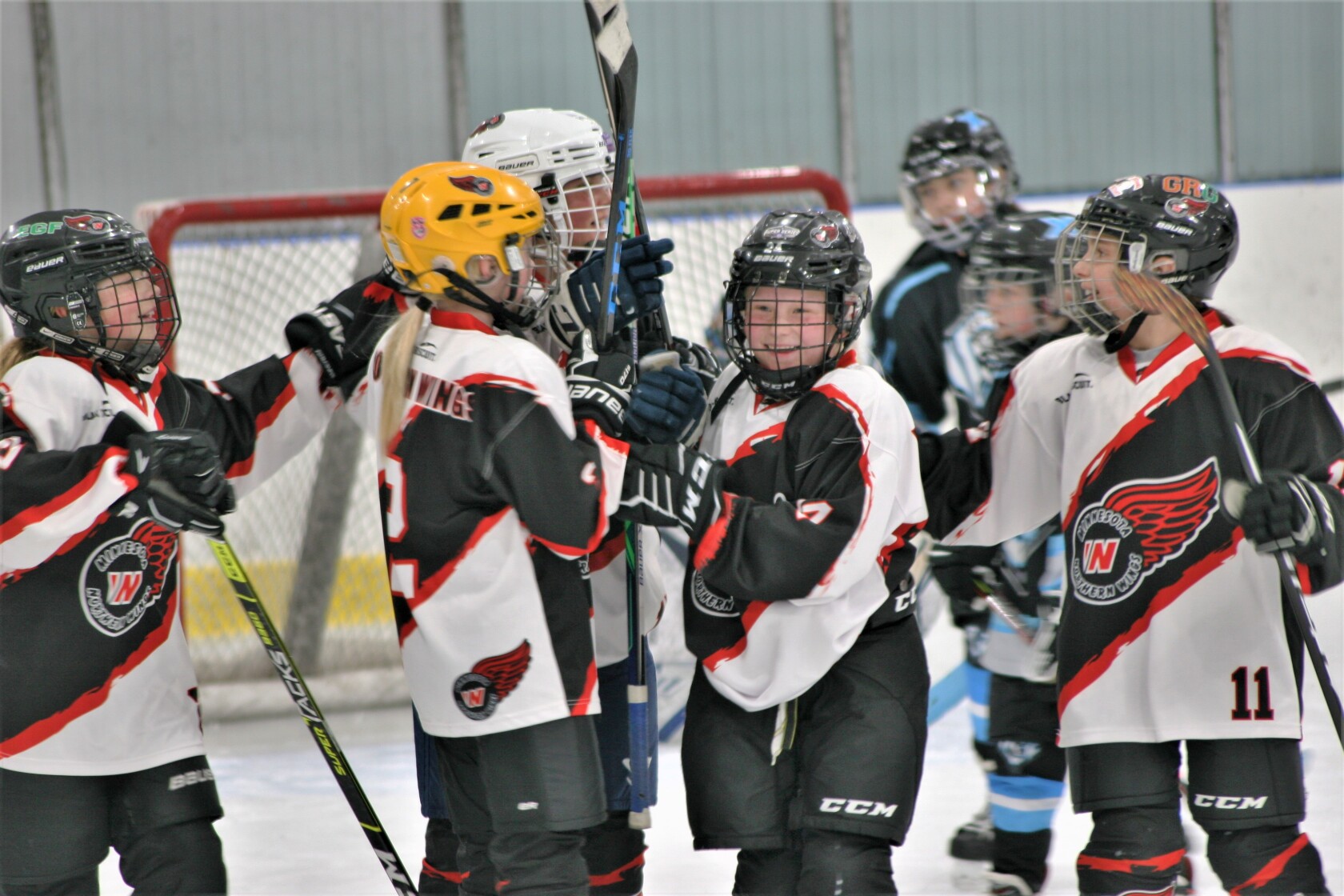 USA Hockey announces host sites for 2024 National Championships The USA Hockey announces host sites for 2024 National Championships The