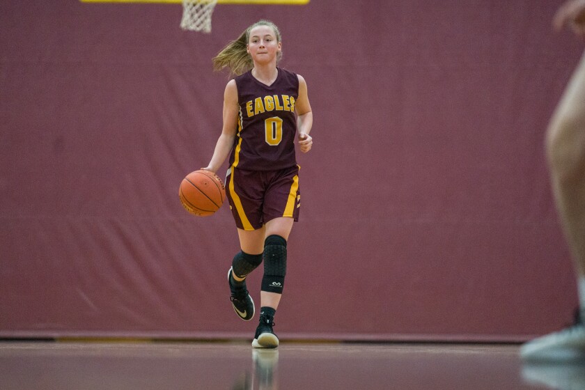 Dover-Eyota, Pine Island girls basketball