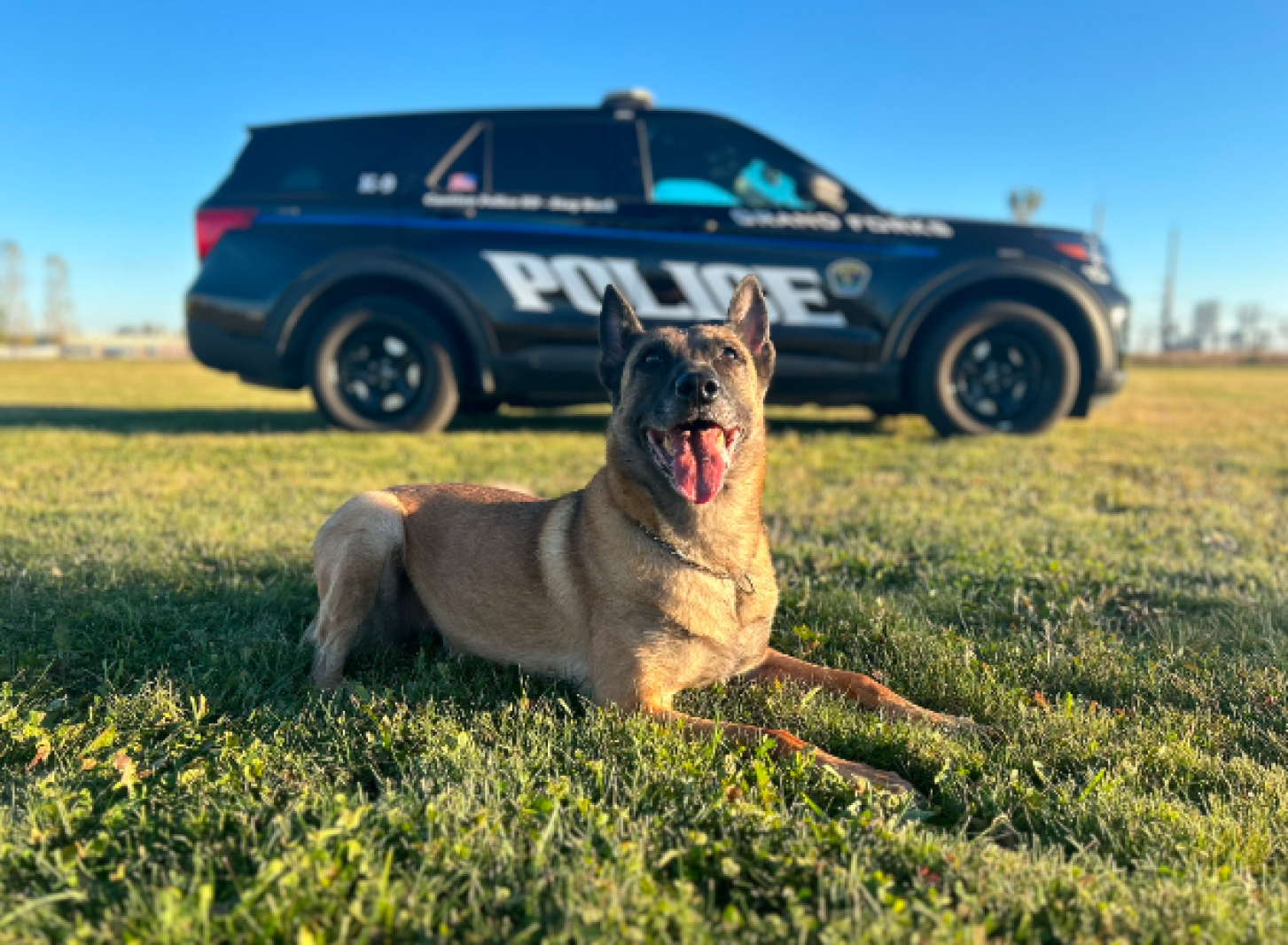 Forks Pd Grand Forks Police Department's K9 Riot to retire - Grand Forks Herald ...