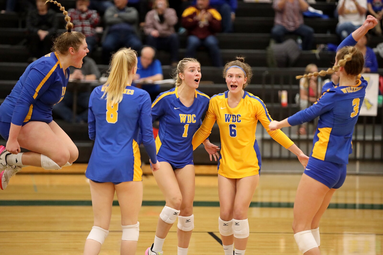 Pequot Lakes vs Wadena-Deer Creek Volleyball on Thursday, Nov. 3, 2022, in Sauk Rapids.