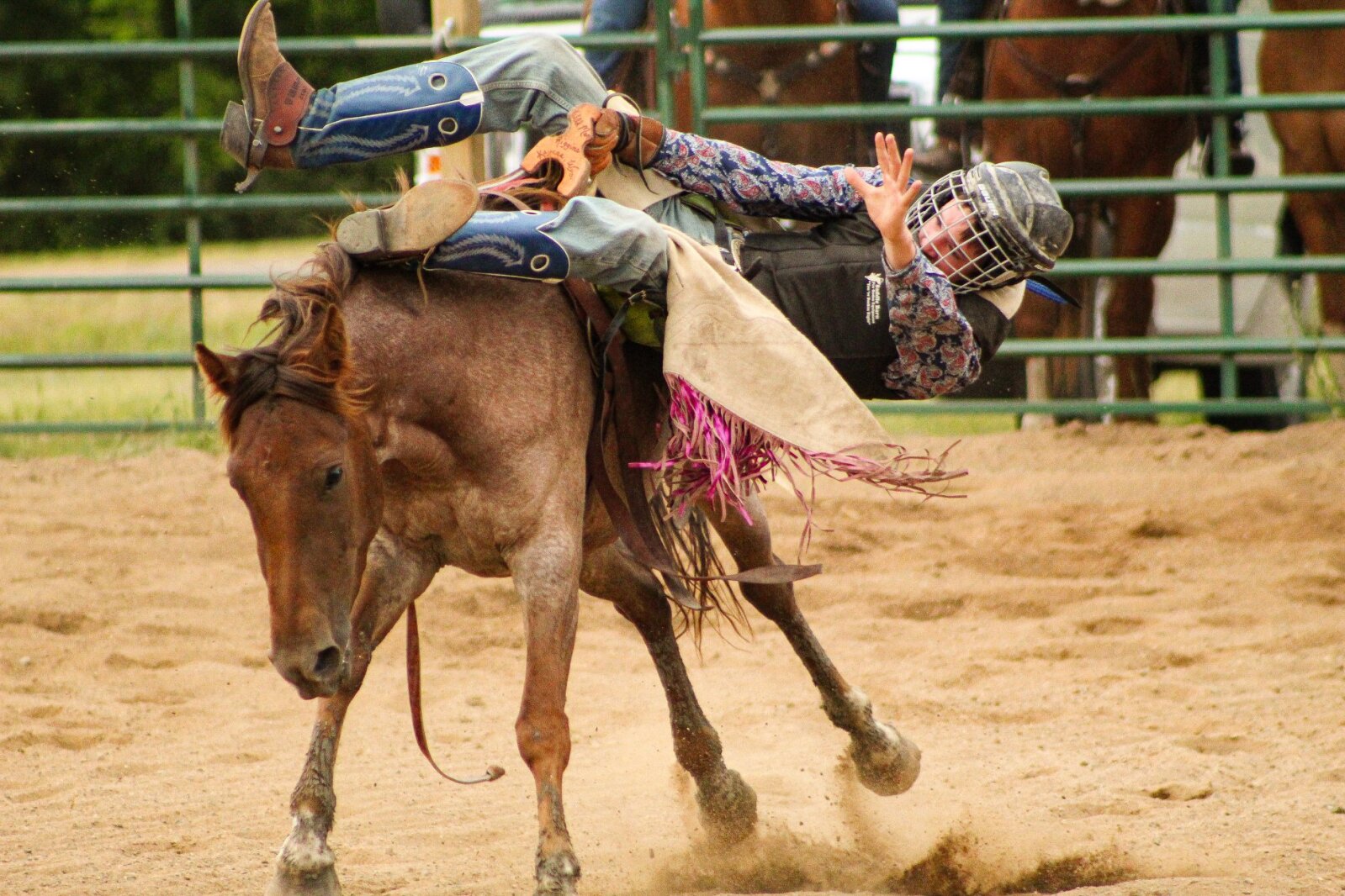 Tuff-N-Nuff Miniature Rodeo set Friday-Saturday at fairgrounds ...