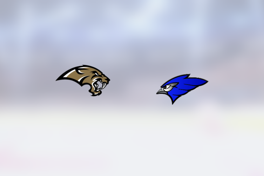 img_500213233_rinklive.png
