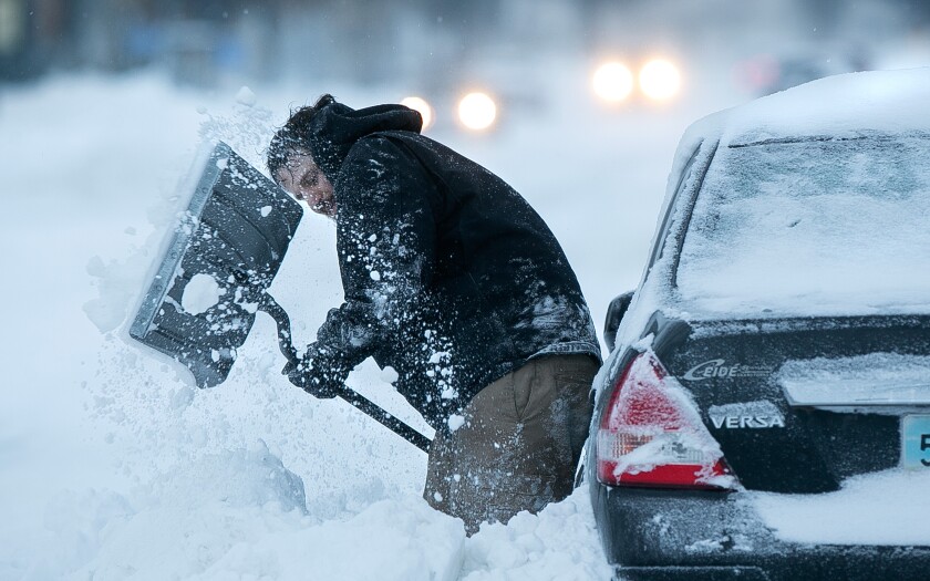 Blizzard Brenda