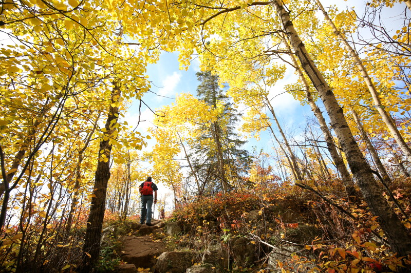Minnesota DNR Promotes Fall Color Viewing Opportunities Across State Parks
