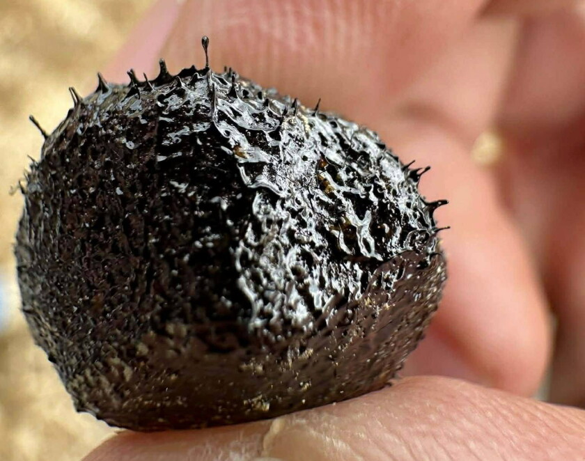Astro Bob: Boom! Hunters recover first meteorites from St. Patrick’s ...