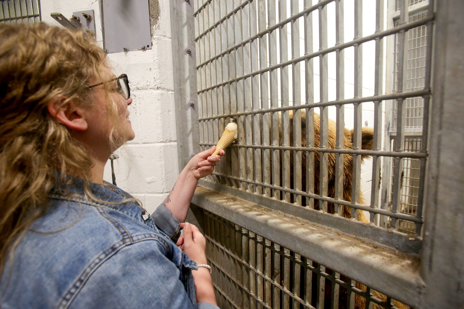 Beary big day for Banks and Tundra at Lake Superior Zoo