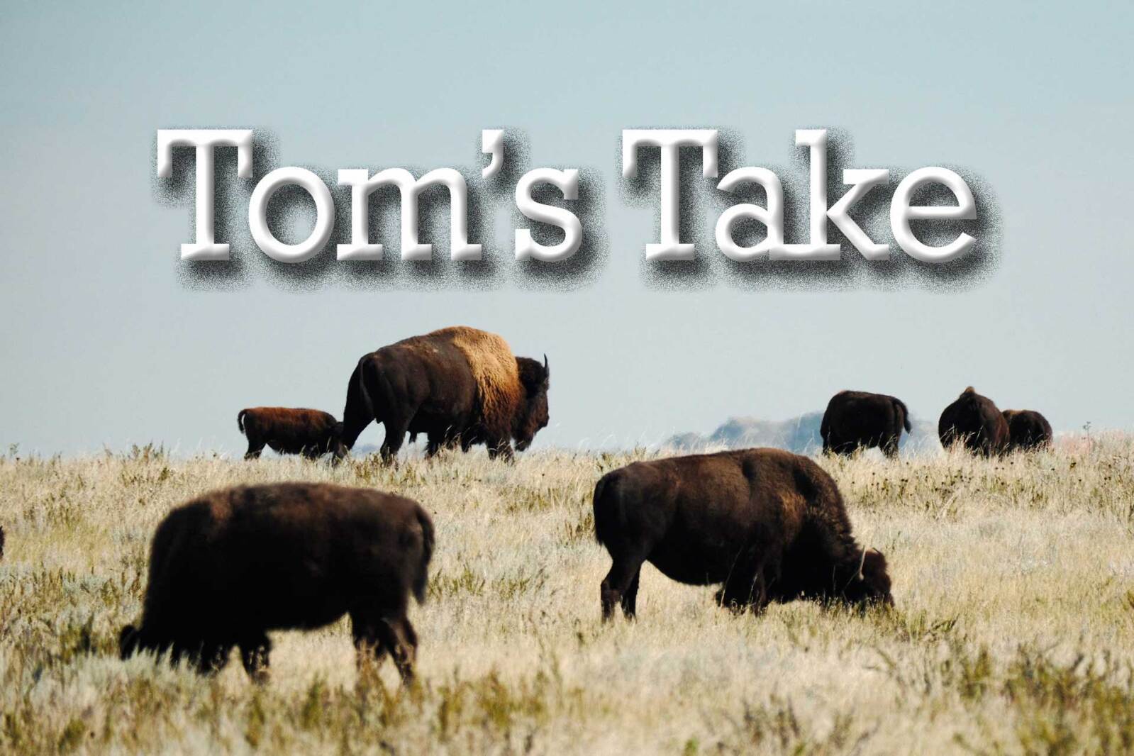 Tom's Take: Where the West still roams free