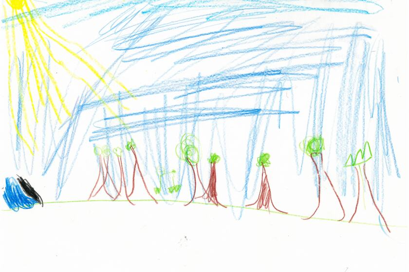 A drawing of trees.