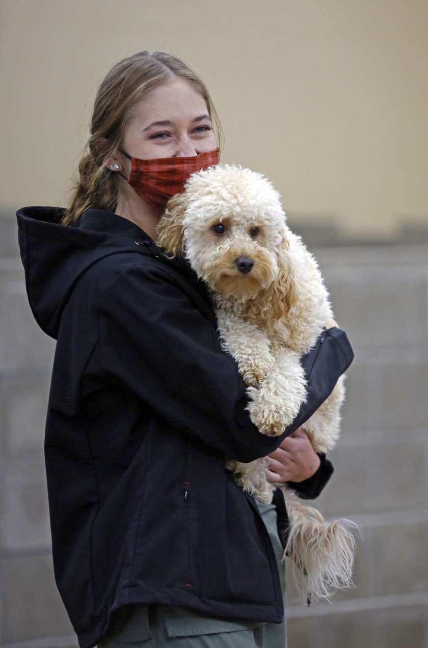 102420.B.FF.PETBOARDING.03.jpg