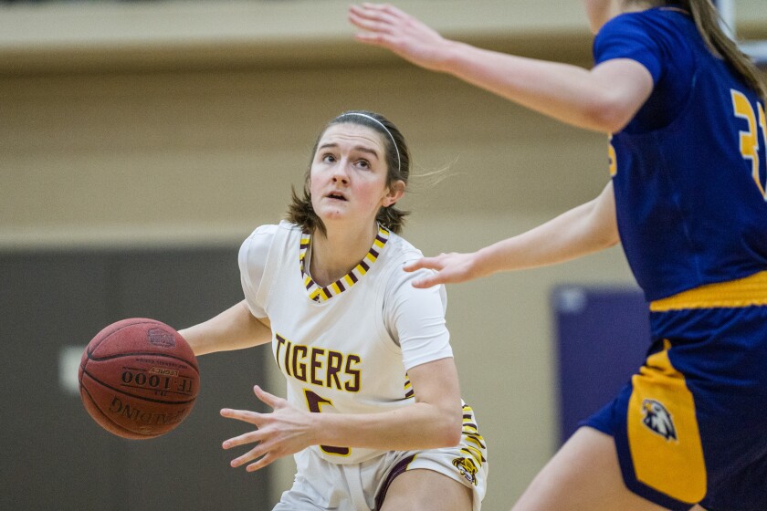 Lourdes, Stewartville girls basketball