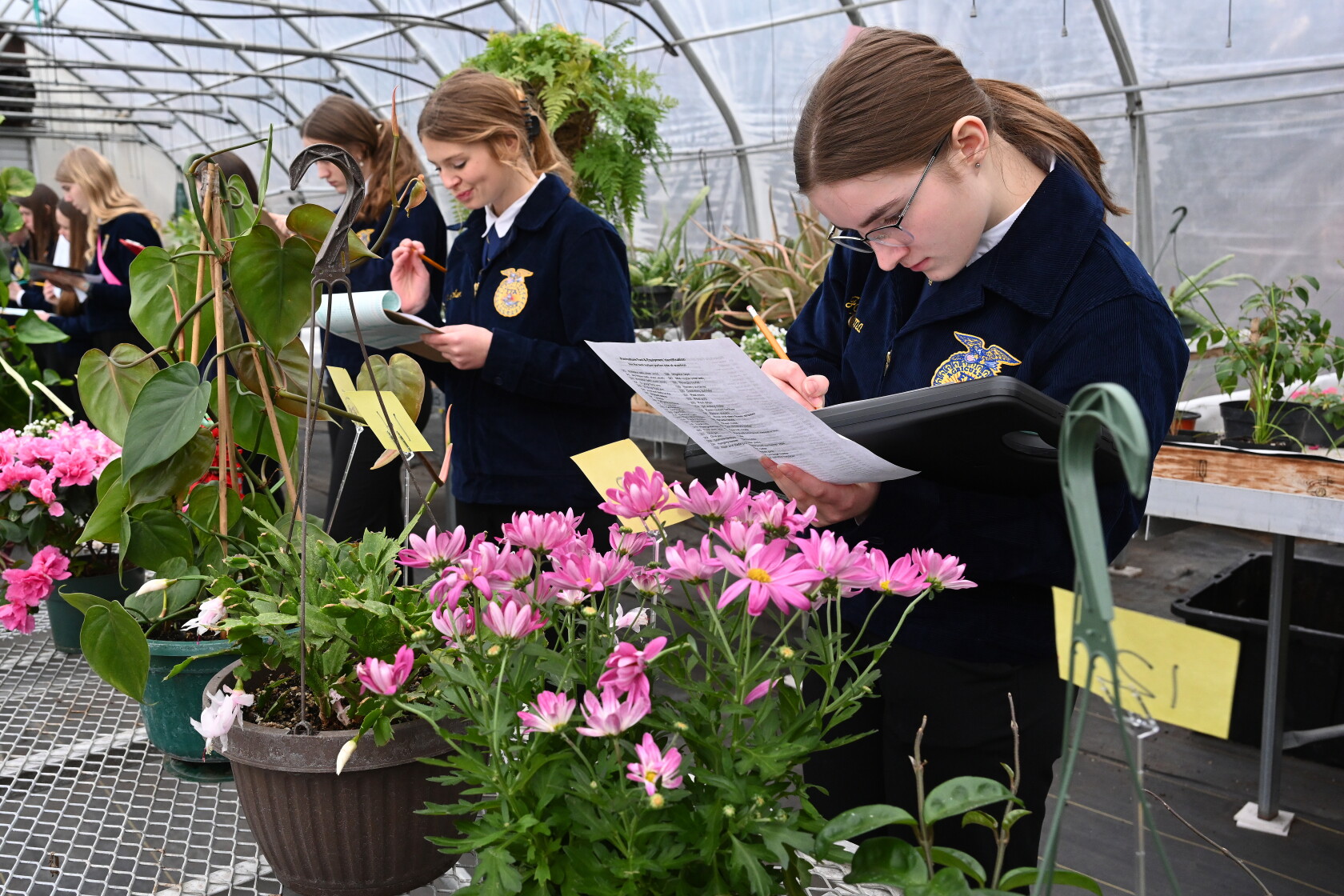 Floriculture judging at CLC - Brainerd Dispatch | News, weather, sports ...