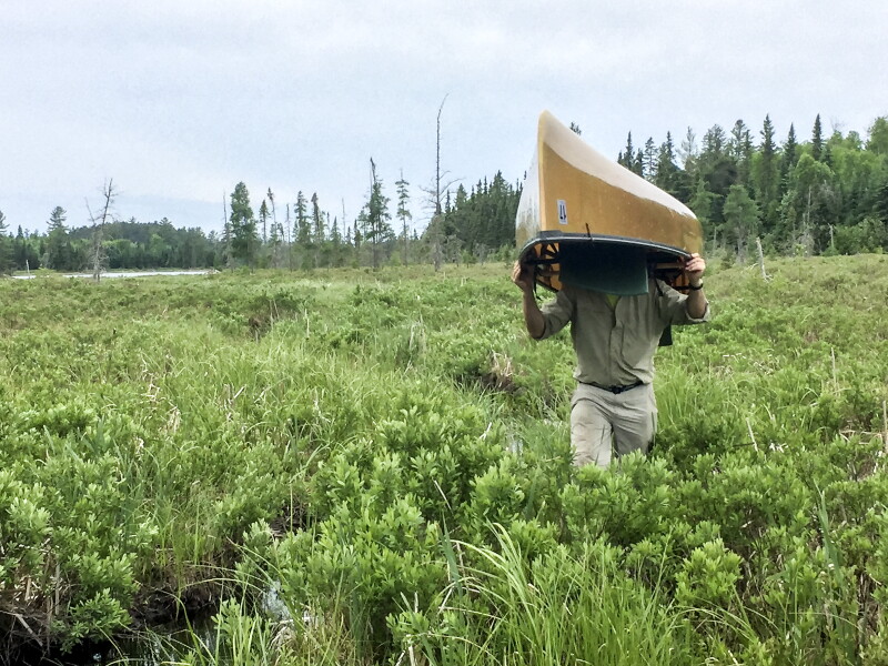 5 small fires burning in Superior National Forest