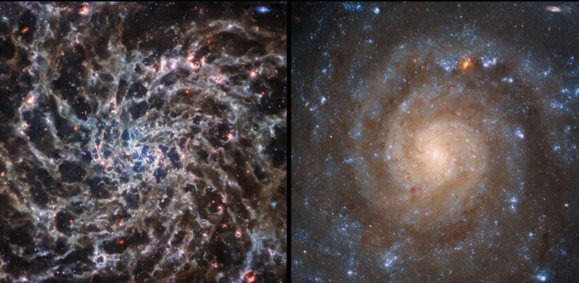 Webb Hubble panel