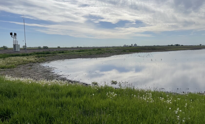 Wet farm near Aberdeen.jpeg