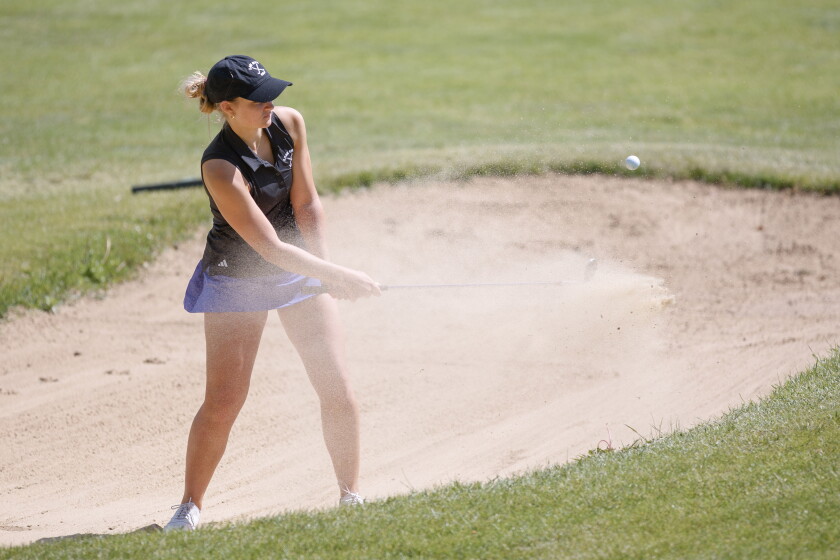 All you need to know about the Minnesota high school golf state meets