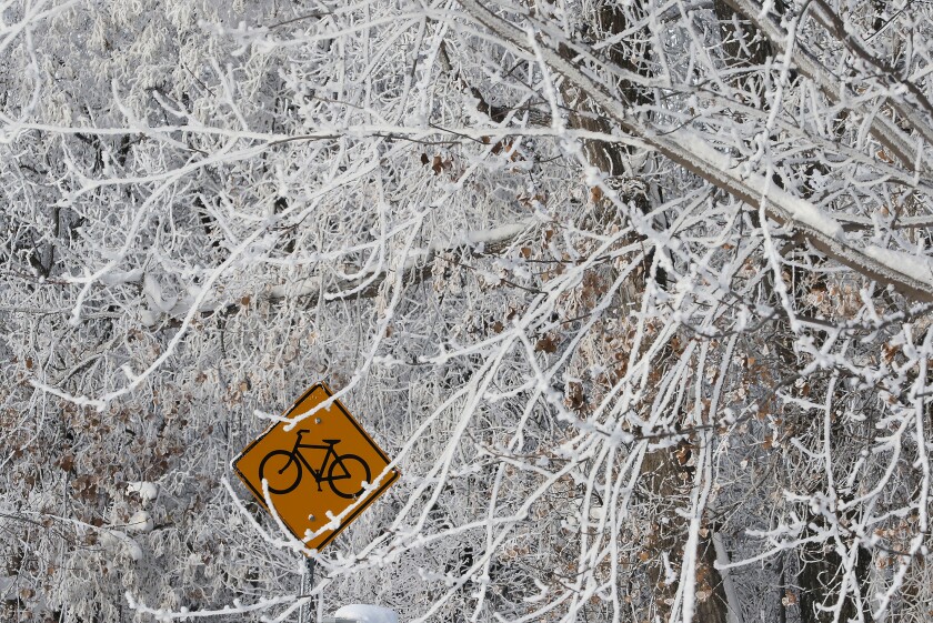 frost sign n branches 010223.jpg