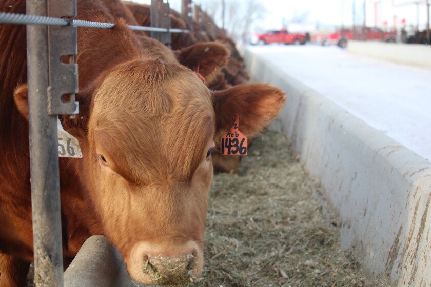 030220.AG.KennerH-2AFarmWorkerIssues06.jpg