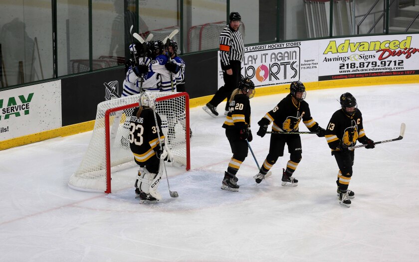 Proctor/Hermantown players celebrate after a goal