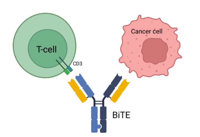 Blood cancer treatment options expand in Duluth - Duluth News Tribune ...