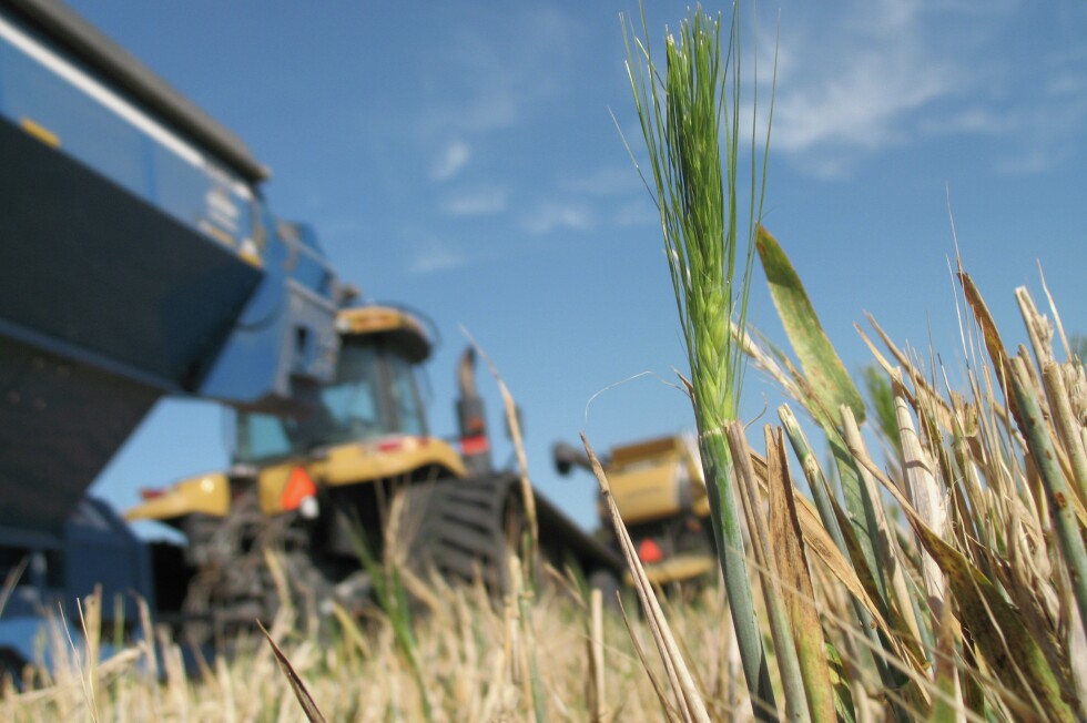 Perham Focus Perham Minnesota perham-focus-perham-minnesota