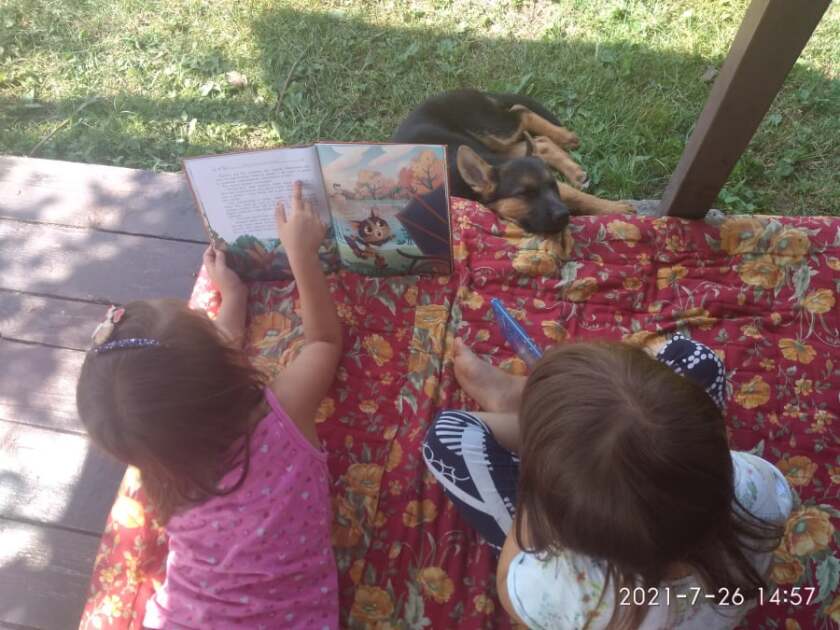 Two girls reading a book to a dog.
