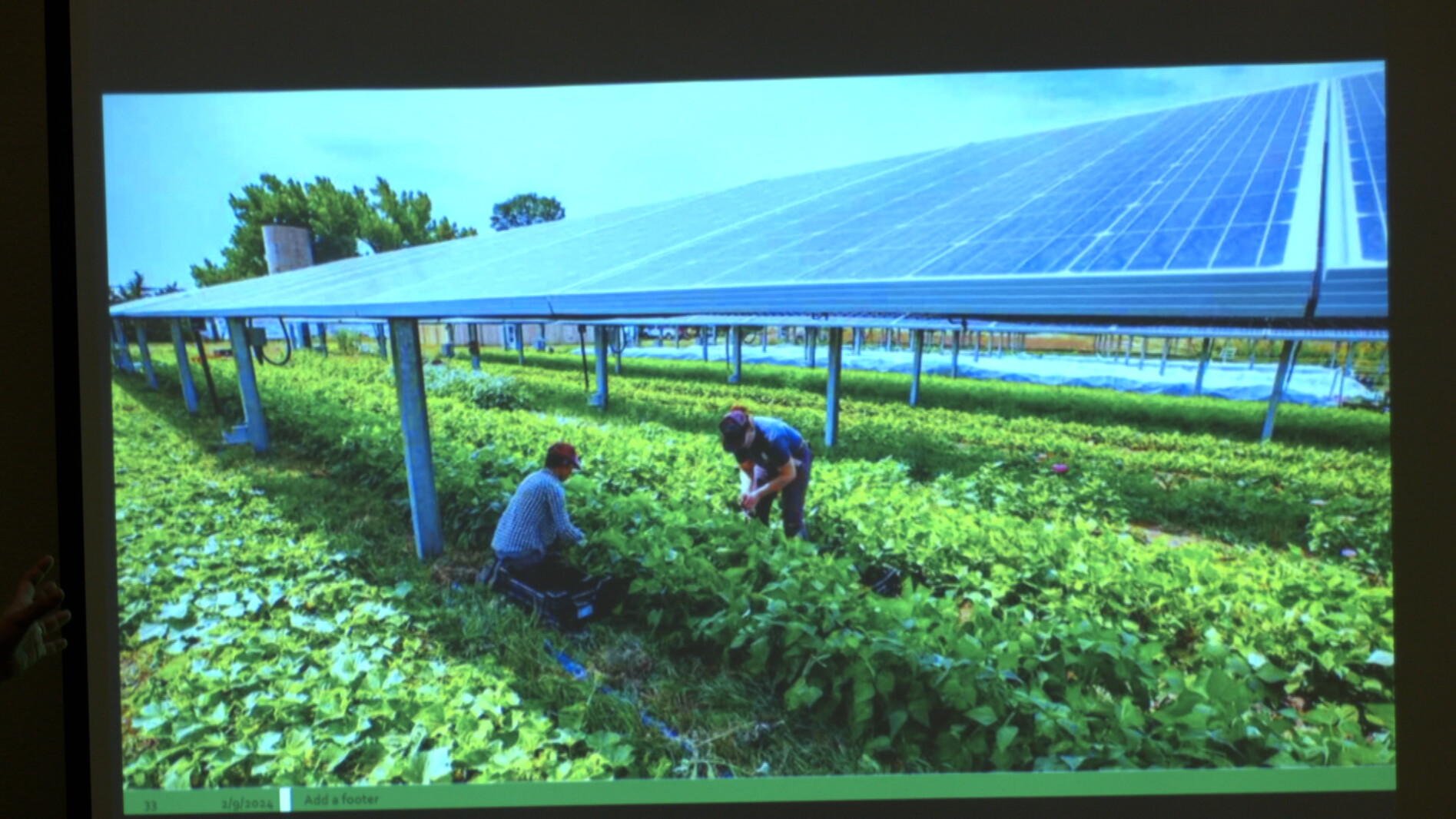 Farming And Raching Agrivoltaics offer a new way of farming and ranching - Agweek | #1 ...