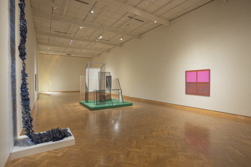 "Lisa Bergh: Topography" on view at Mia.