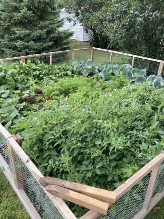 Veggie Garden.jpg