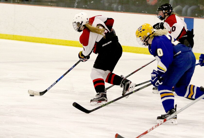 3964651+WHS girls Hochey vs Windom 2 web.jpg